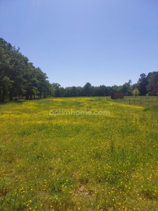  Terrain à vendre 8500 m²