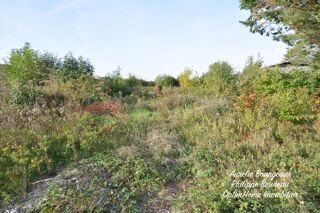  Terrain  vendre 1010 m