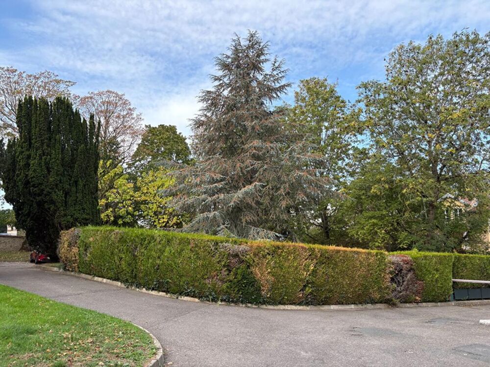 Vente Appartement Duplex 5 pièces 3 chambres 117 M2 Sevres