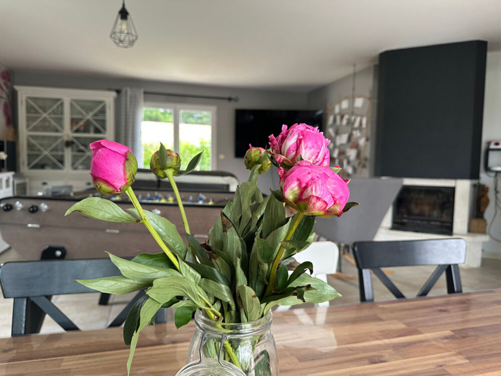 Vente Maison NESMY - Maison 4 chambres 129 m², 931 m² jardin clos Nesmy