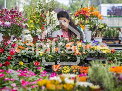 Fonds de commerce &agrave; vendre TREIZE SEPTIERS (85) - Fleuriste 72000 85600 Treize septiers