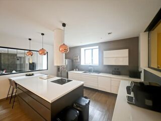  Loft à vendre 8 pièces 345 m² Faches thumesnil