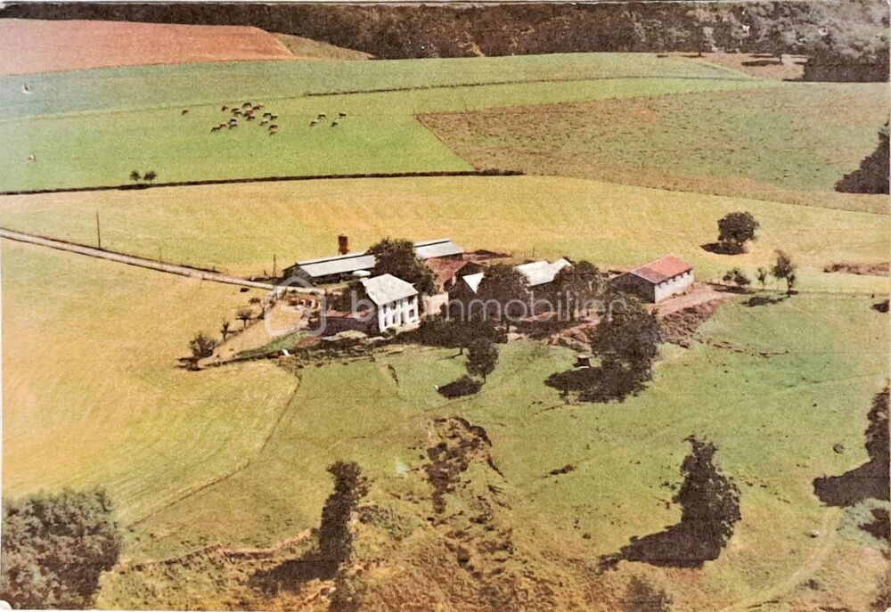  vendre  Proprit/chteau Albi (81000)