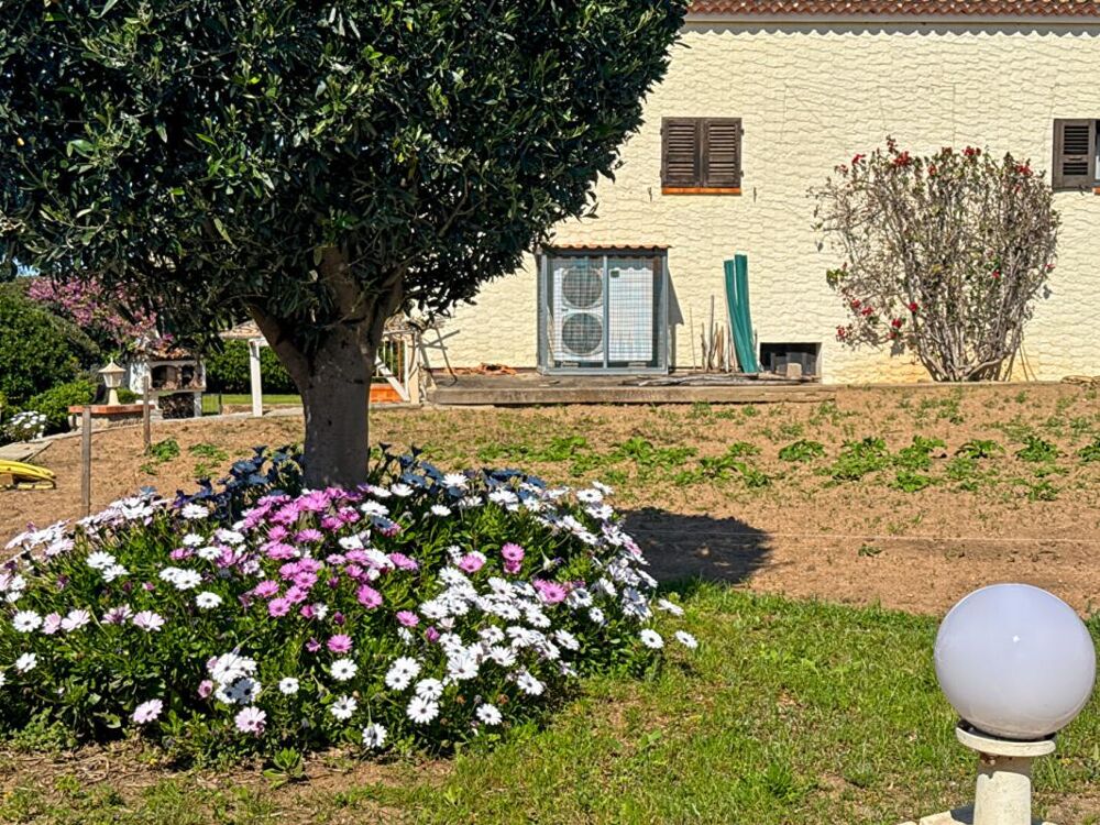 à vendre  Maison Sagone (20118)