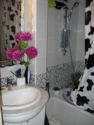  Appartement � louer 3 pi�ces 53 m�