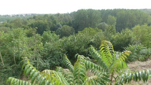   Dpt Deux S�vres (79), � vendre AVAILLES THOUARSAIS maison P4 Maison - 4 pi�ce(s) - 122 m�