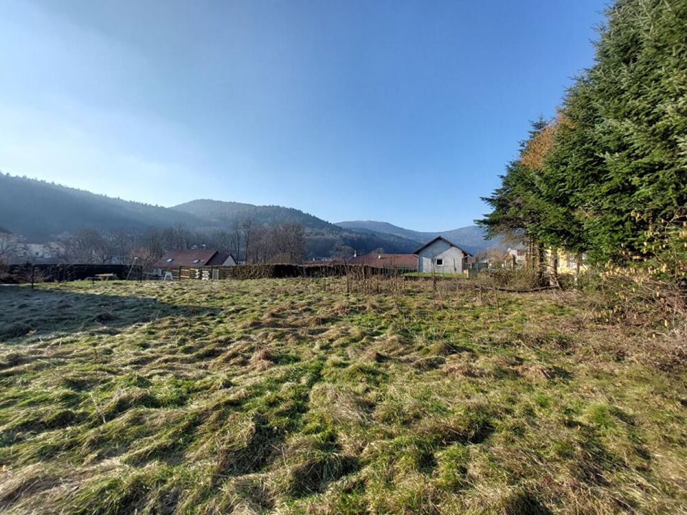 Vente Terrain TERRAIN CONSTRUCTIBLE Lepuix