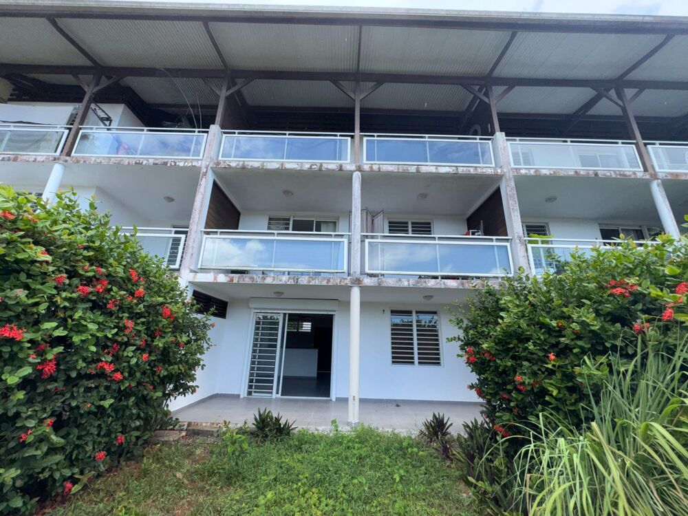 Vente Appartement Superbe T2 avec jardinet à vendre Montjoly, coté Suzini St Martin Remire montjoly
