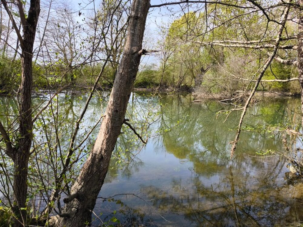 Vente Terrain Terrain non constructible bordure Charente à vendre  VARS (16) Vars