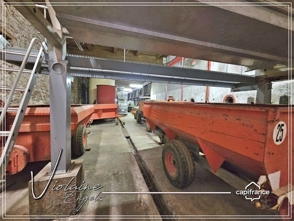 � vendre  Propri�t�/ch�teau Cesseras (34210)