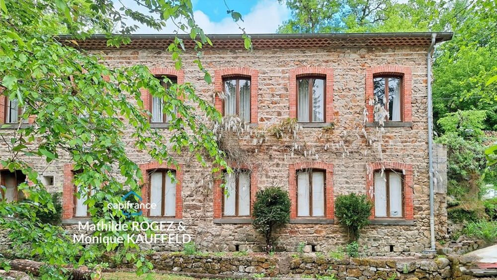 Grande demeure de charme + gîte + grand terrain - Tours-sur-Meymont