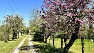  Maison � vendre 6 pi�ces 215 m�