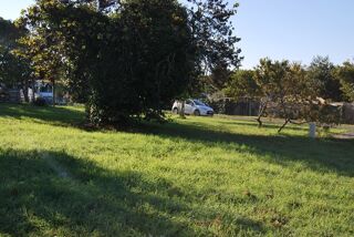  Terrain  vendre 439 m