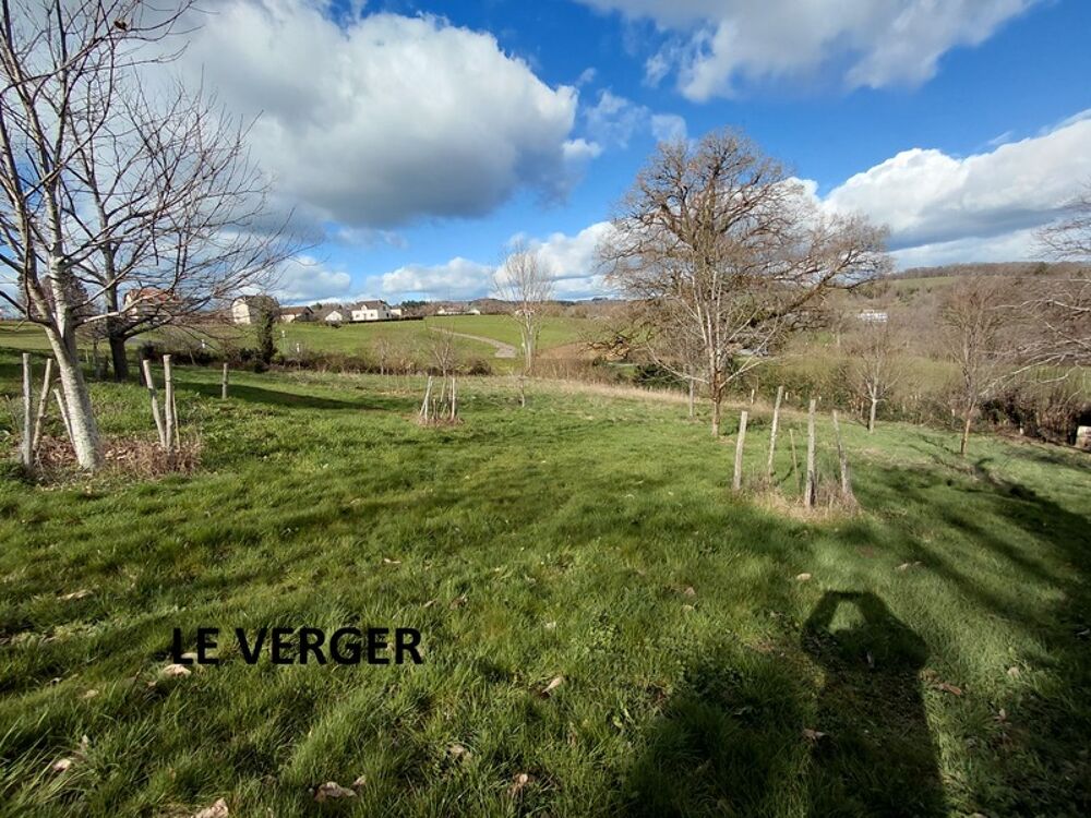 Vente Maison Grande maison rénovée de 220 m² avec atelier, terrasse panoramique et verger – Mourjou (Puycapel  cantal) Puycapel