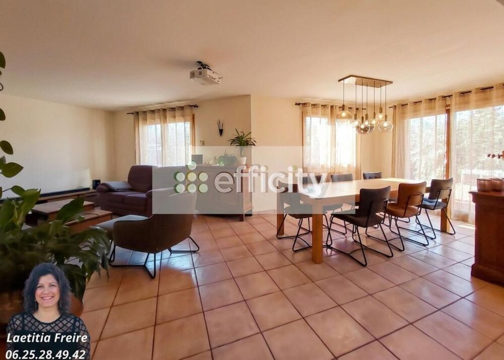 Vente Maison Maison Peillonnex