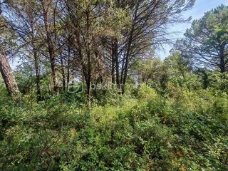  Terrain à vendre 10130 m²