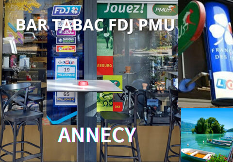 Commerces/Negoce 589600 74000 Annecy