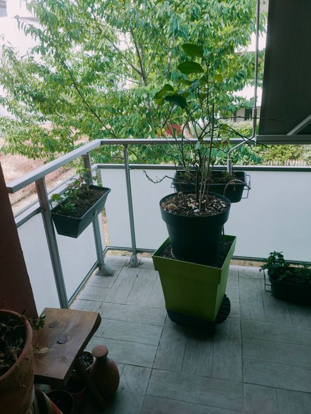 Chambre de 12m2 à louer sur Dijon