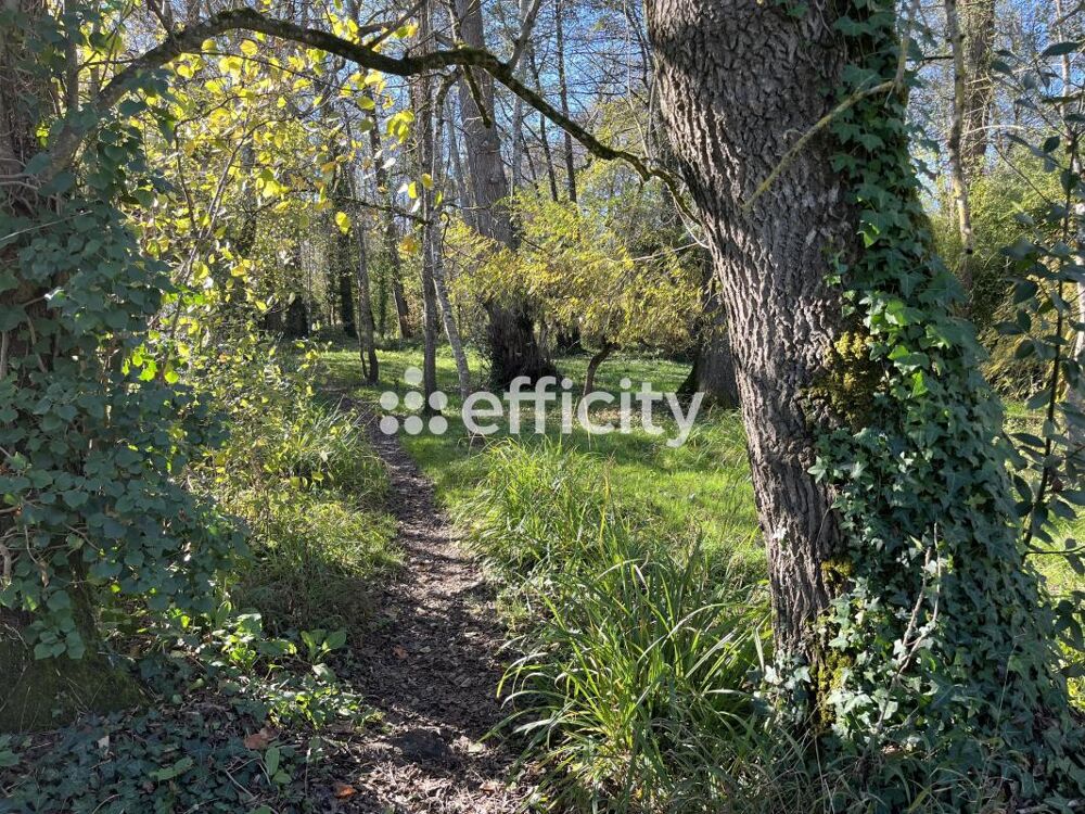 Vente Terrain Terrain Cognac