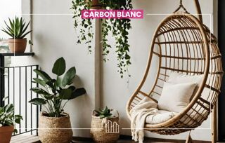  Appartement � vendre 1 pi�ce 41 m�