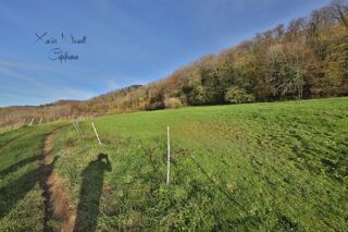  Propri�t�/ch�teau � vendre 6 pi�ces 190 m�