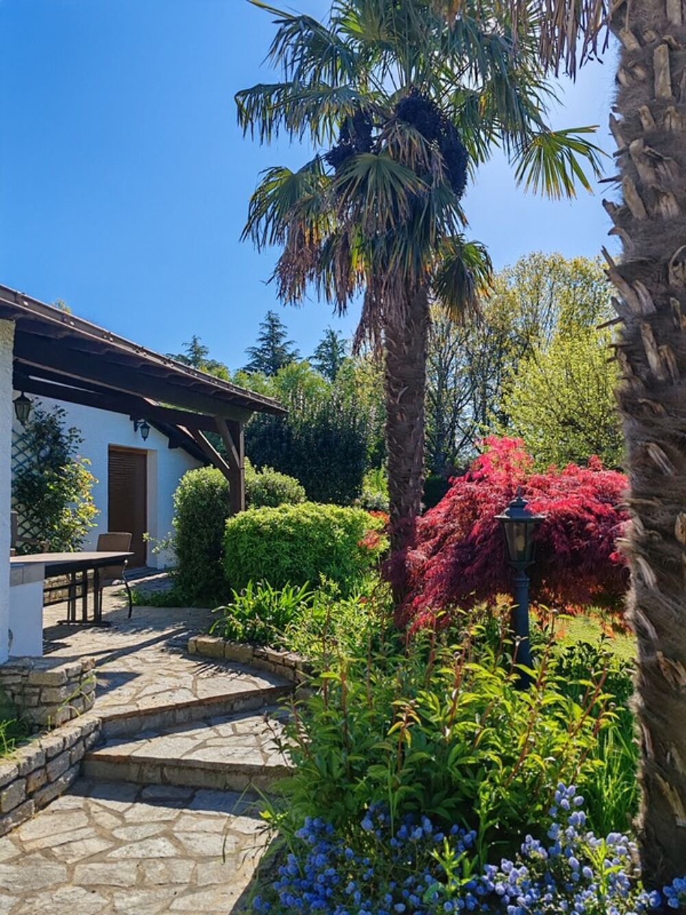 Propriete à vendre 12 pièces L'OIE (85)