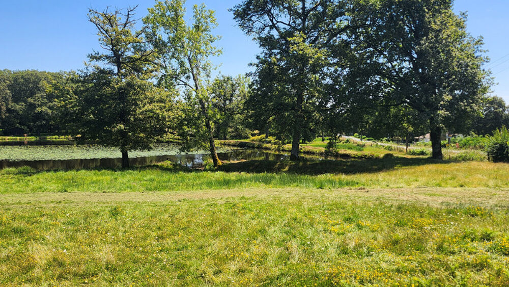 Vente Terrain ETANG + TERRAIN DE LOISIR + FORET DE CHENES - PROCHE CENTRE-BOURG Oradour sur glane