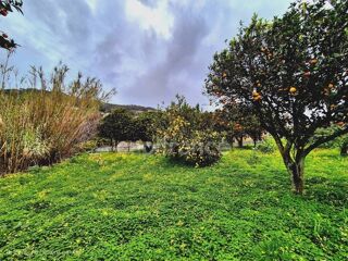  Terrain � vendre 1348 m�