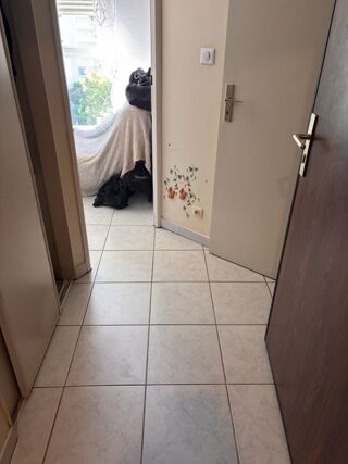  Appartement à louer 2 pièces 26 m²