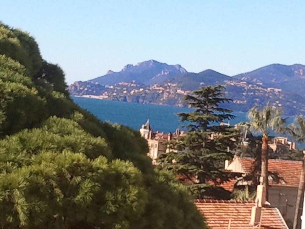 Location Appartement Chambre de 10m2 à louer sur Cannes Cannes
