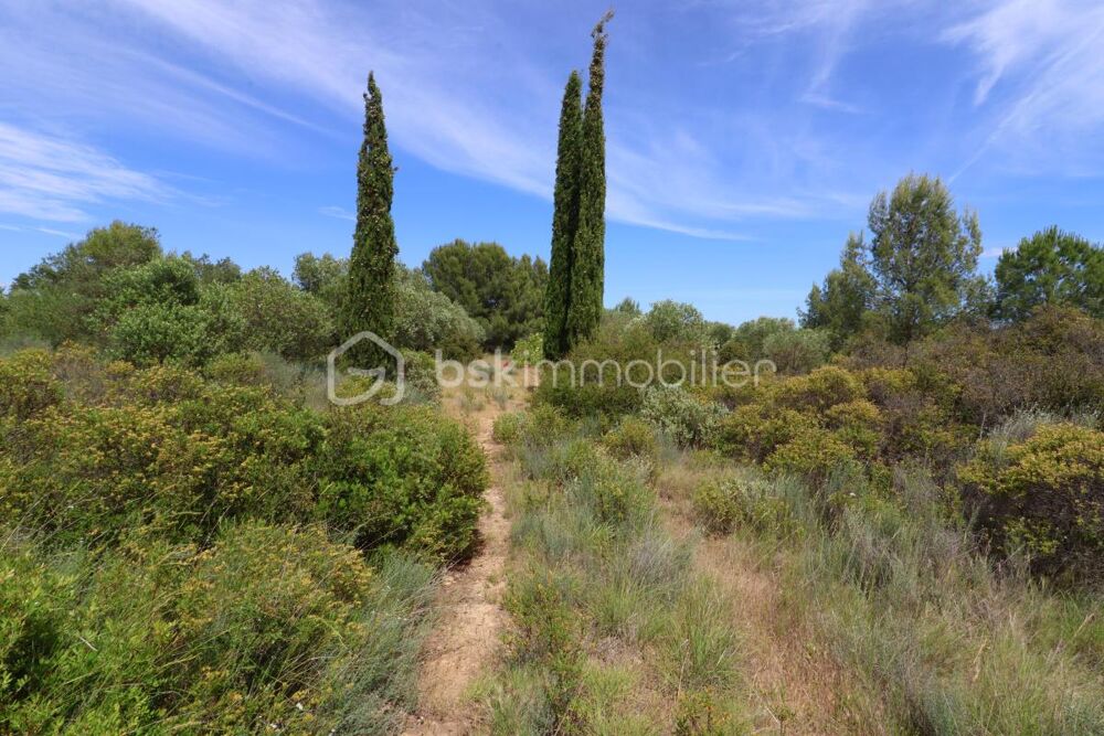 Vente Terrain Oliveraie de plus d'1,5 hectare à Villeveyrac Villeveyrac