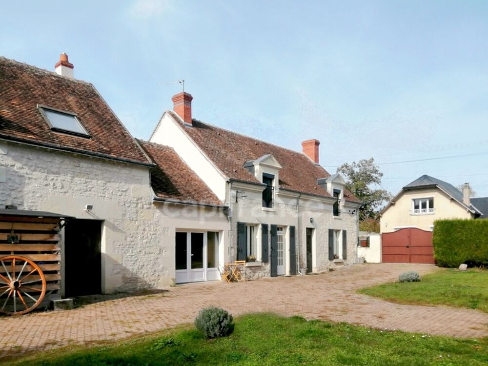 Noyers-sur-Cher (Loir-et-Cher), à vendre LONGERE 11 pièces de 232 m²