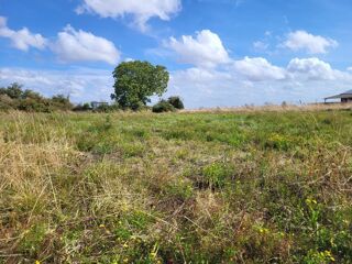  Terrain  vendre 1624 m