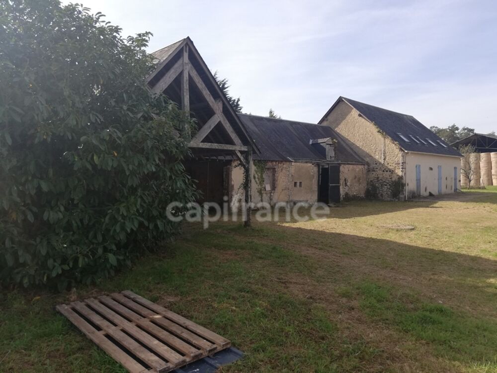 Dpt Sarthe (72), à vendre ALLONNES - POUR INVESTISSEURS - maison P6 SH 180m2 - terrain 2841 m2