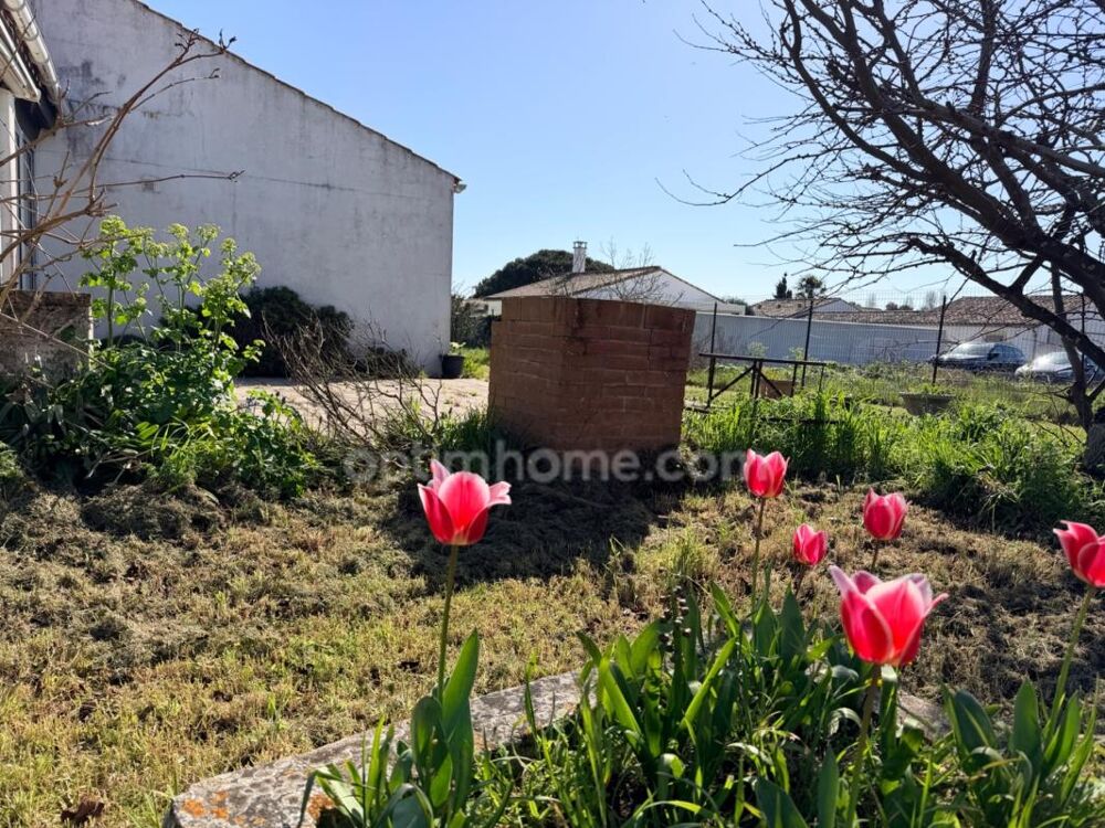 Propriété de 1300 m²  Potentiel de Division  Coeur de Village- rare -opportunité