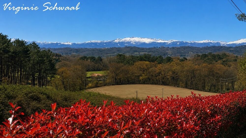 Vente Maison HABAS (40) MAISON RÉNOVÉE – 3 CHAMBRES – TERRASSE VUE PYRÉNÉES – TERRAIN 2000 m2 Habas