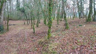  Terrain à vendre 1255 m²