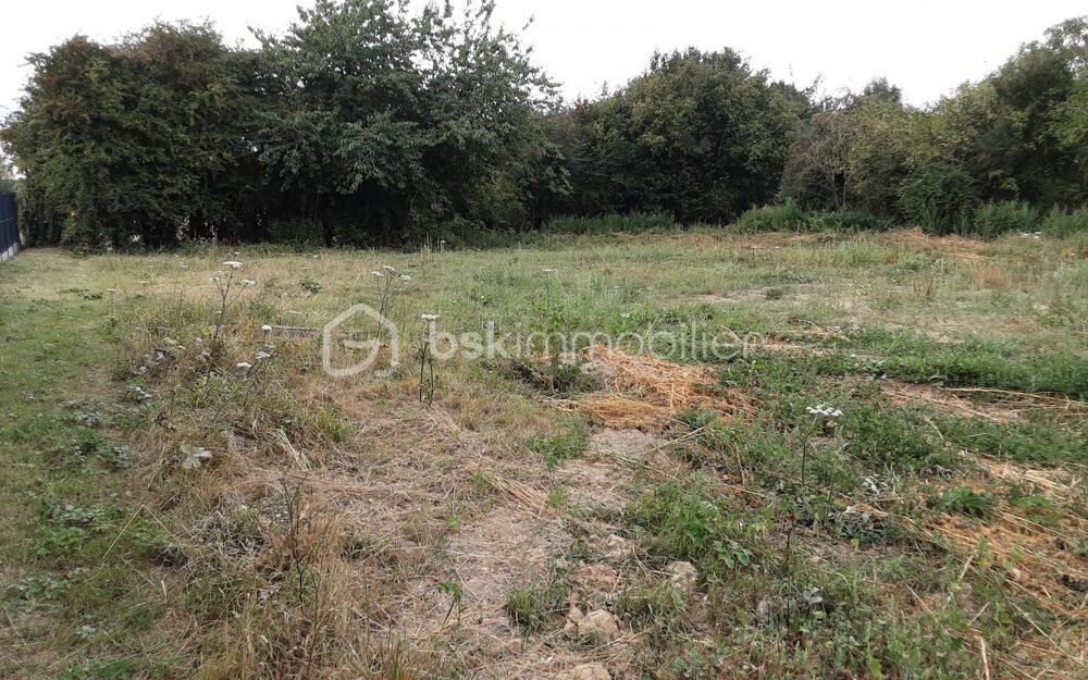 Vente Terrain Magnifique terrain plat de 1300 M2 avec 30 m�tres de fa�ade Villers au bois
