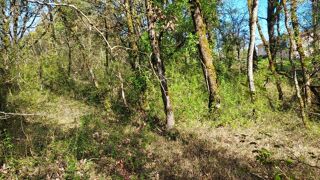  Terrain � vendre 1255 m�