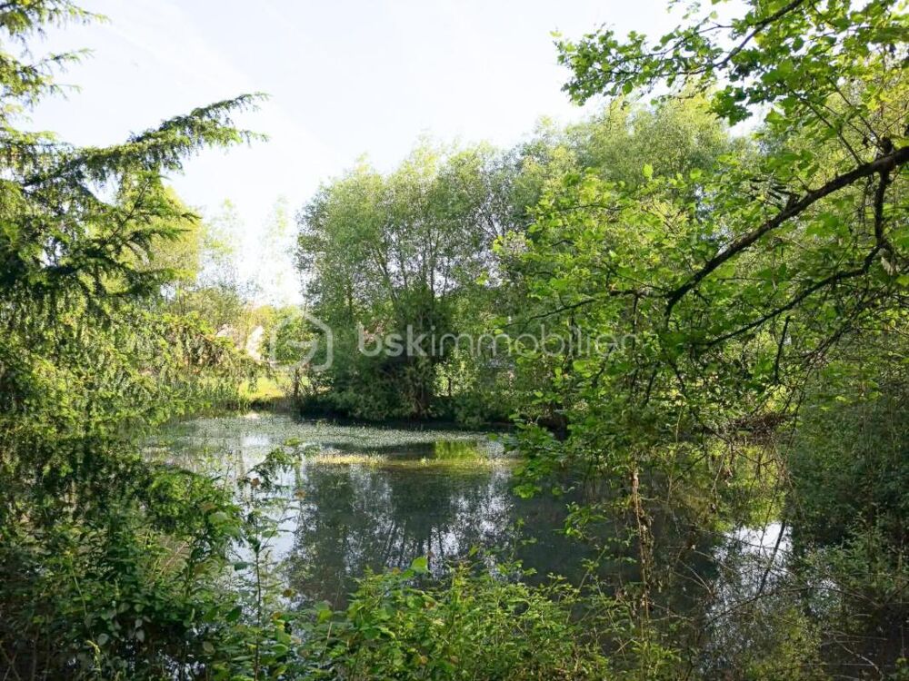 ? Charme de l'ancien & Grand Bain de Nature : Superbe Longère sur 5 000 m² avec Étang