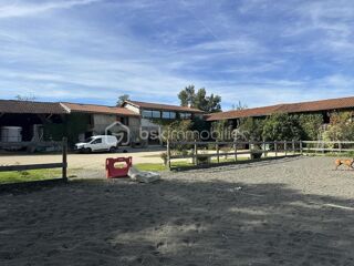 Vente Propriété/Château PROPRIETE EQUESTRE DE 10 HECTARES Toulouse