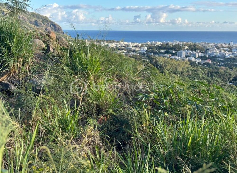 Vente Terrain Terrain 516m² Colline des Camélias Saint-Denis Saint denis