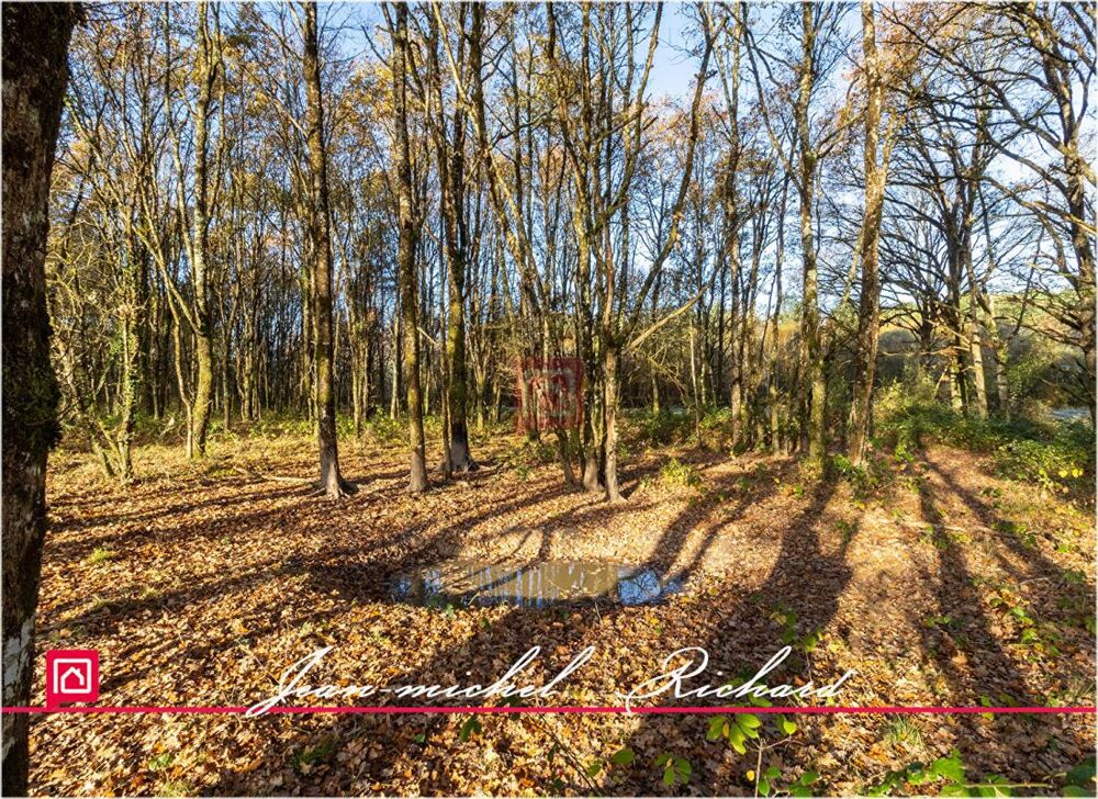 Vente Terrain Terrain Courmemin 166990 m2 Courmemin