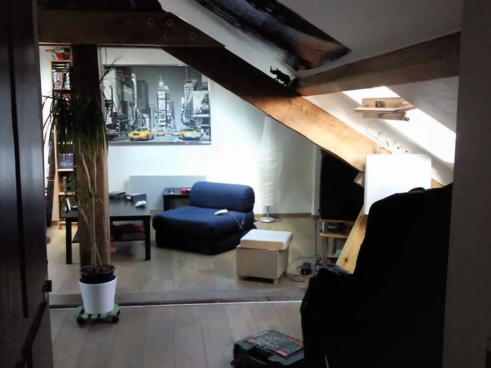 Location Appartement Studio de 30m2 à louer sur Villeurbanne Villeurbanne