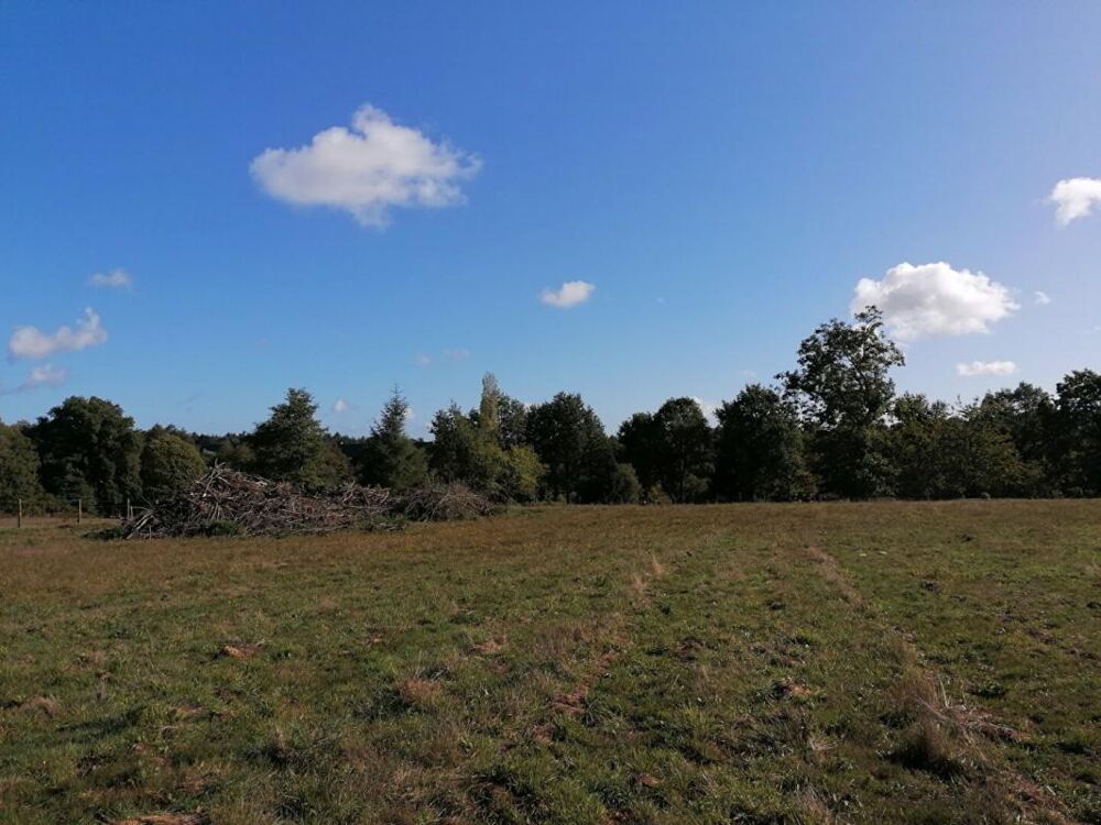 Vente Terrain Ploërmel . Terrain exceptionnel de 4 000 m² avec 700 m² constructibles Ploermel