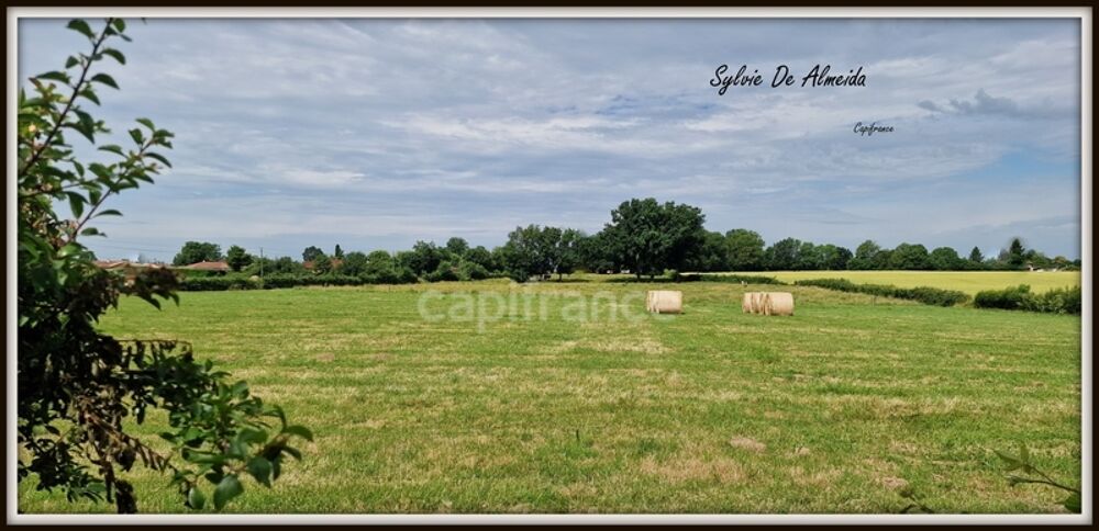 Vente Terrain Parcelle de Terrain à bâtir, à vendre, hors lotissement de 2 493,00 m² BEREZIAT (01) plat, calme, campagne Bereziat