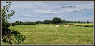  Terrain à vendre 2493 m²