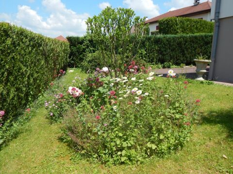  Appartement � louer 1 pi�ce 25 m�