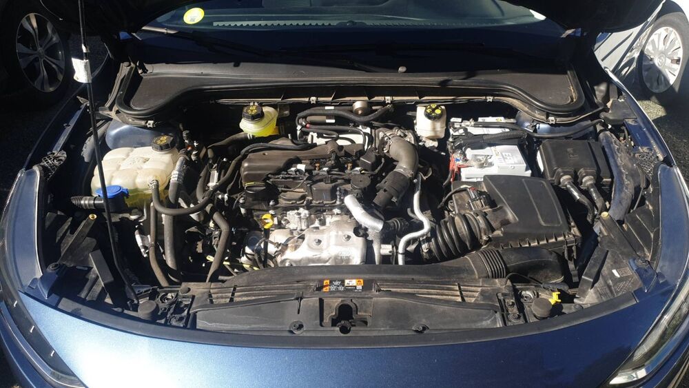Focus SW 1.5 EcoBlue 120 Titanium X Business 2022 occasion 56100 Lorient