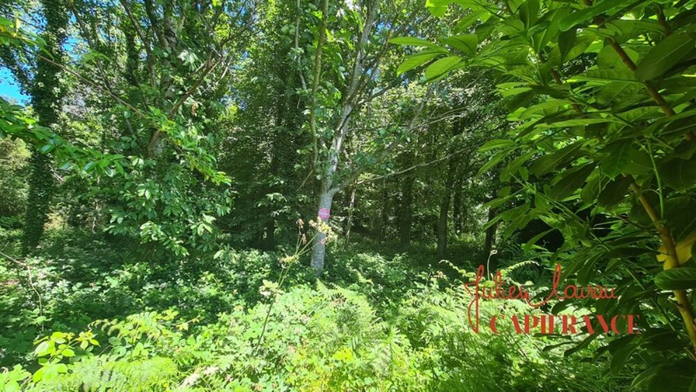 Vente Terrain Terrain à vendre  SCAER (29) - Environ 4,5 Ha Scaer